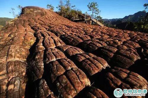 QQ图片20160201164732_副本