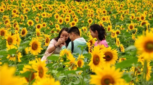 507b9d1b0088190120e91e