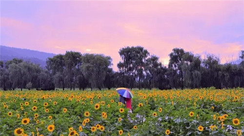 507b9d1b0088190121b42b