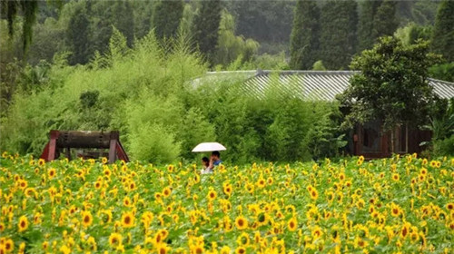 507b9d1b0088190121de2d