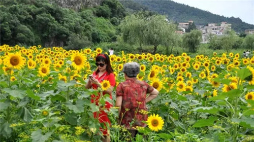 507b9d1b00881901210e20