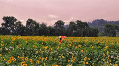 507b9d1b0088190121cf2c