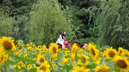 507b9d1b00881901212a22