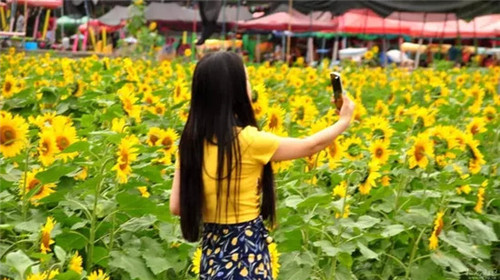 507b9d1b00881901212d23