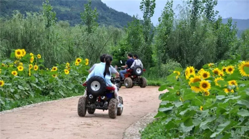 507b9d1b00881901211121