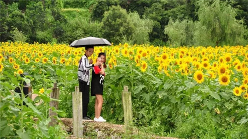 507b9d1b00881901215025