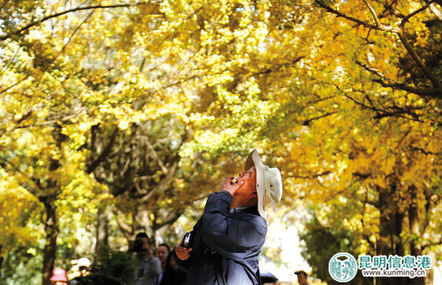 20130256092222_副本1