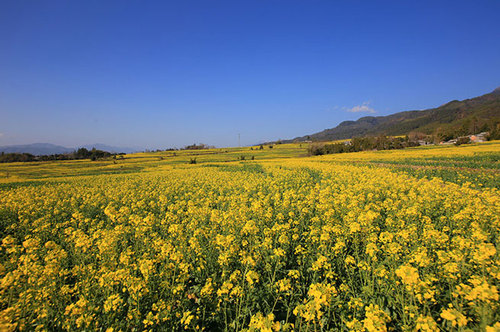 222222222AADDgoDg129