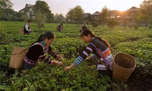 7427ea390bfa1a1518af0c