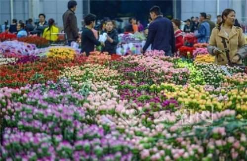 7427ea390bfa1a1518fe11