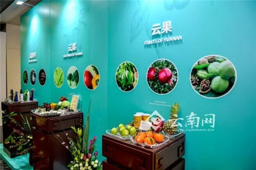 7427ea390bfa1a15195317