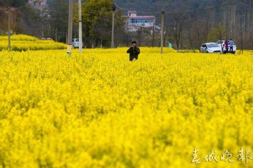 4ccc6a7618c11a1672241a