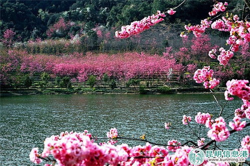 QQ图片20170301143622