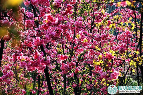 QQ图片20170301143615