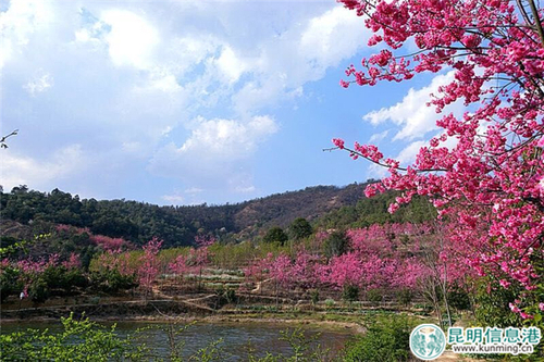 QQ图片20170301143637