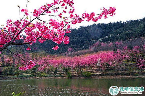 QQ图片20170301143714