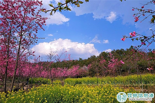 QQ图片20170301143634