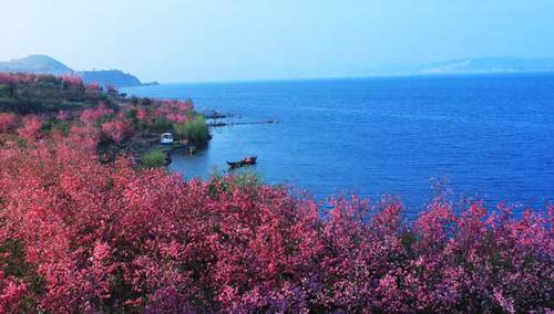 抚仙湖畔的红霞