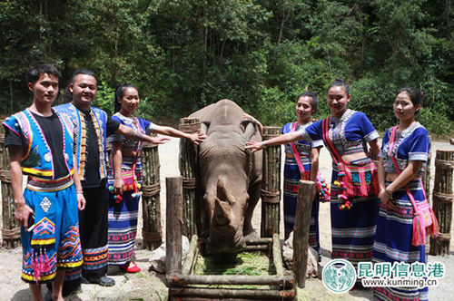 90fba6114c6e1b05136535