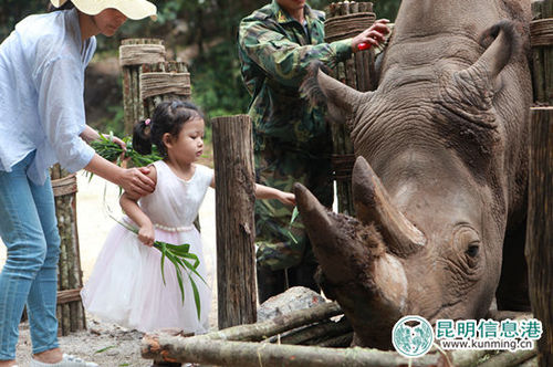 90fba6114c6e1b05136537