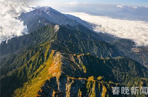 eca86b6b05bc1b996a645c