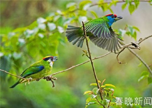 eca86b6b05bc1b996a3f35