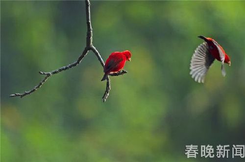 eca86b6b05bc1b996aae5a