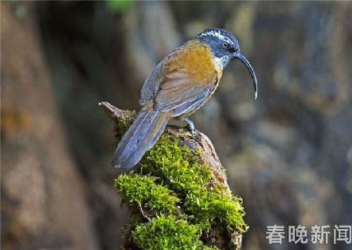 eca86b6b05bc1b996ab302