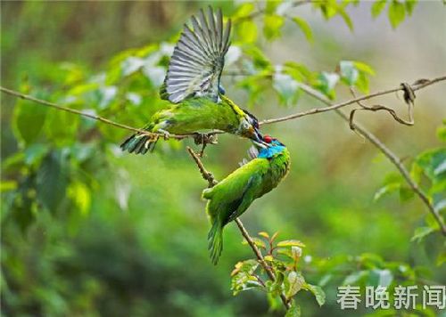 eca86b6b05bc1b996a9026