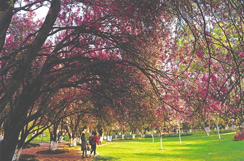 0023244aae111c1aa9ee30