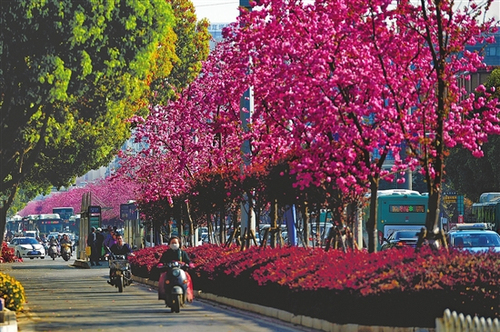 0023244aae111c1aa9ca2c