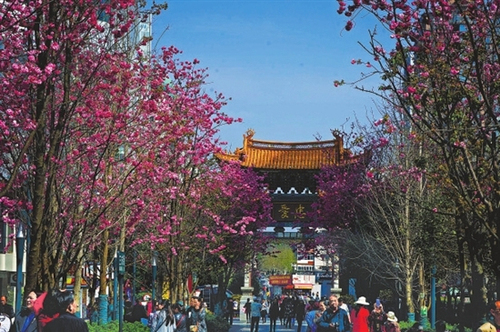 0023244aae111c1aa9d12d