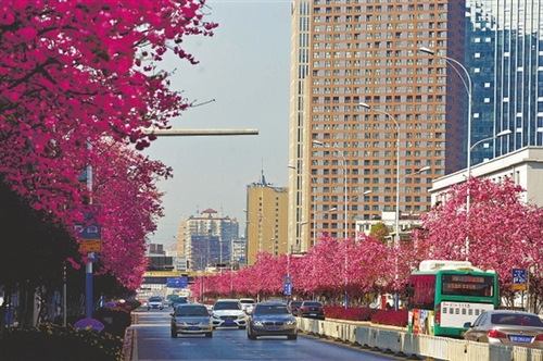 0023244aae111c1aa9e42f