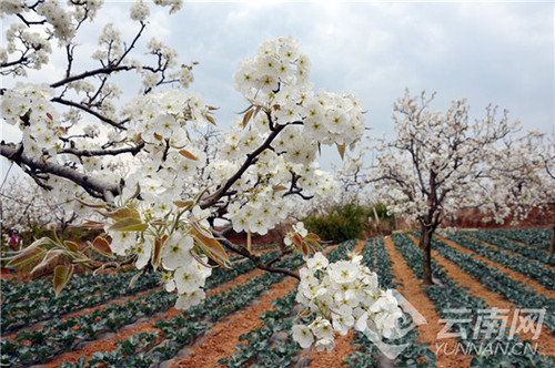 00235402d1c01c08a5b715