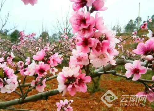 00235402d1c01c08a5c317