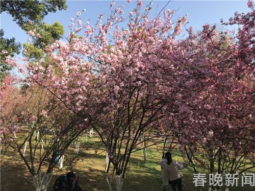 4ccc6a7618c11c08279810