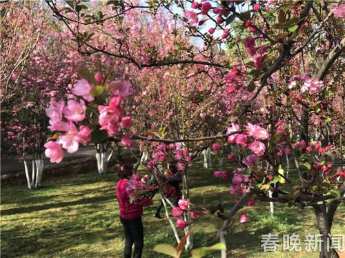 4ccc6a7618c11c0827a111