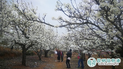 90fba6114c631c176aa530