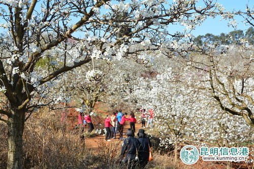 90fba6114c631c176aa531