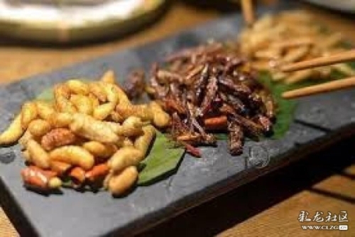 216458_600x550 216458_600x550