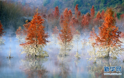 139961486_16216055260451n 139961486_16216055260451n