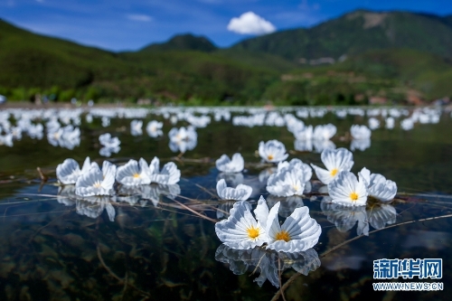 139961486_16216055261871n 139961486_16216055261871n