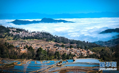 139961486_16216055262651n 139961486_16216055262651n