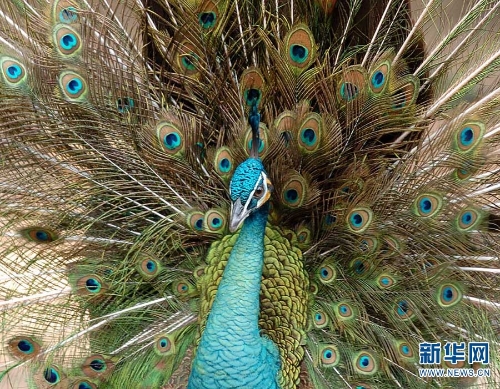 139961486_16216055264381n 139961486_16216055264381n