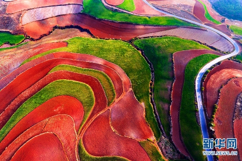 139961486_16216055265931n 139961486_16216055265931n