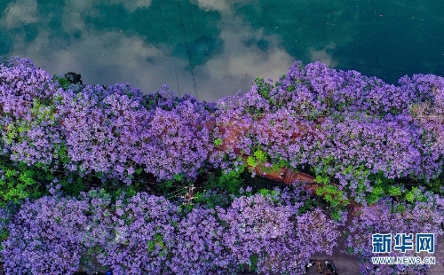 139961486_16216055267071n 139961486_16216055267071n