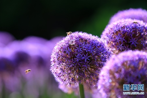 139961486_16216055267921n 139961486_16216055267921n