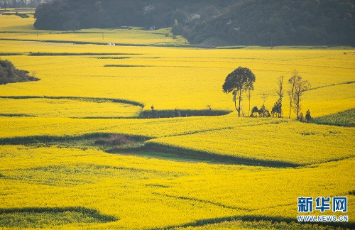 139961486_16216055268401n 139961486_16216055268401n