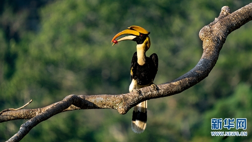 139961486_16216055269521n 139961486_16216055269521n