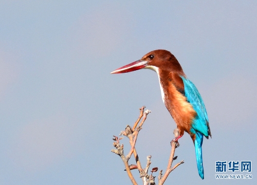 139961486_16216055270381n 139961486_16216055270381n